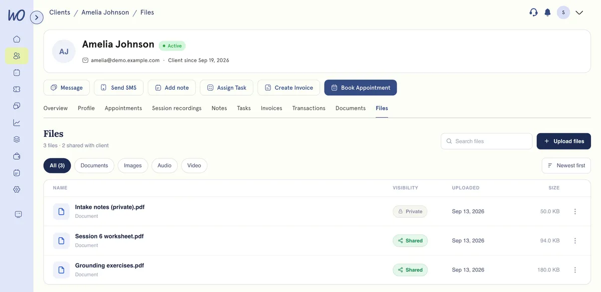 Client record open on the Files tab